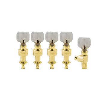 Geared banjo pegs gold w/ Square prld button set 5
