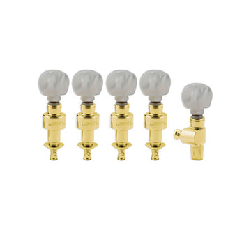 Geared banjo pegs gold w/ Round prld button set 5