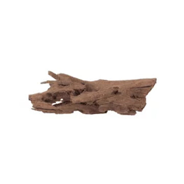 MALAYSIAN DRIFTWOOD - XL (24"-27")