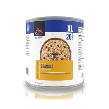 Granola with Milk & Blueberries XL