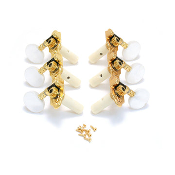 Deluxe Classic Gold Set 6 3 + 3 on Plate
