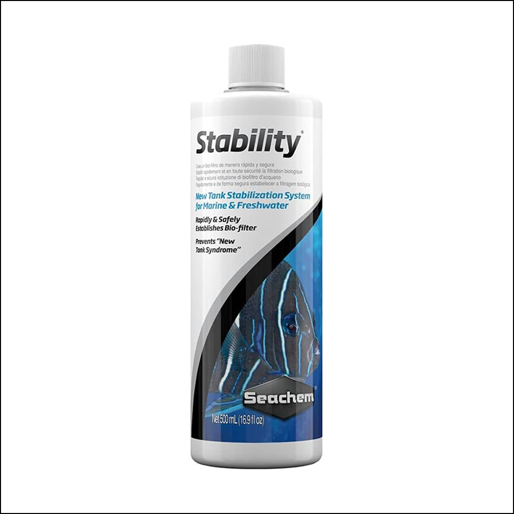 Stability Fish Tank