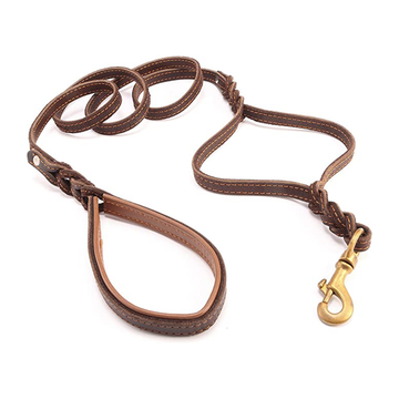 Leather Cat Leash 6 ft Leather