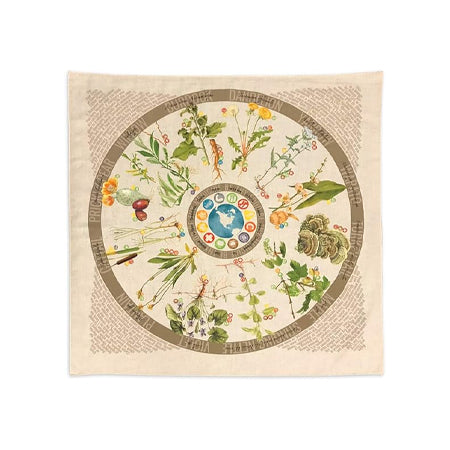 Foraging Field Reference Bandana with 12 Common Edible, Medicinal