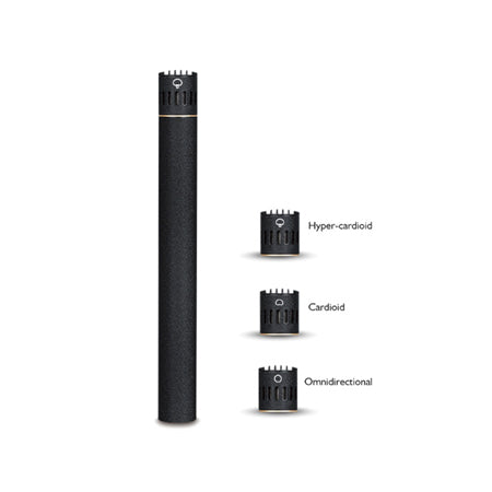 C-2000 Professional Condenser Microphone