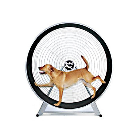 GoPet TreadWheel For Large Dogs