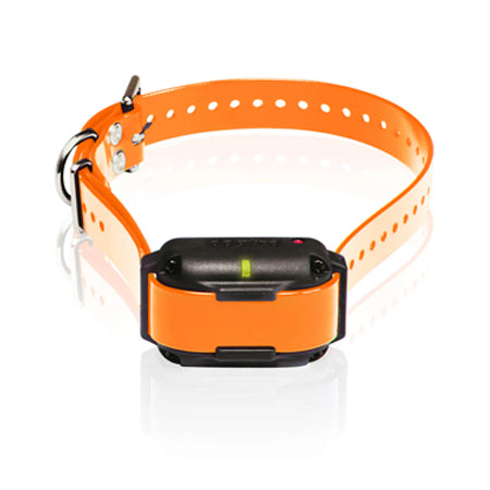 Dogtra Edge RT Additional Receiver 3-Dog Expendable E-Collar - Orange