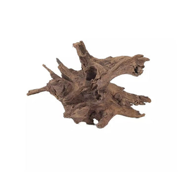 MALAYSIAN DRIFTWOOD - XXL (27