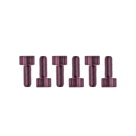 Floyd Rose Saddle Mounting Screws, Stainless Steel (6) - Pink