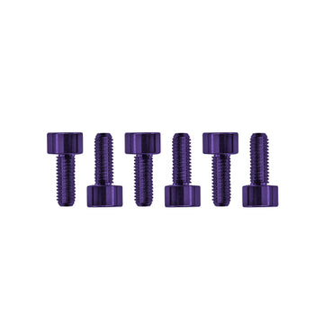 Floyd Rose Saddle Mounting Screws, Stainless Steel (6) - Purple