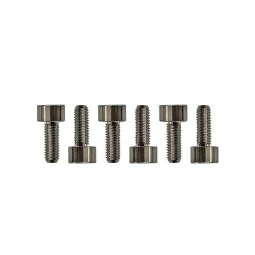 Floyd Rose Saddle Mounting Screws, Titanium (6)