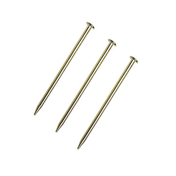 lat Head Nails Hardware (30mm), Brass Plated Gold Nails for Hanging