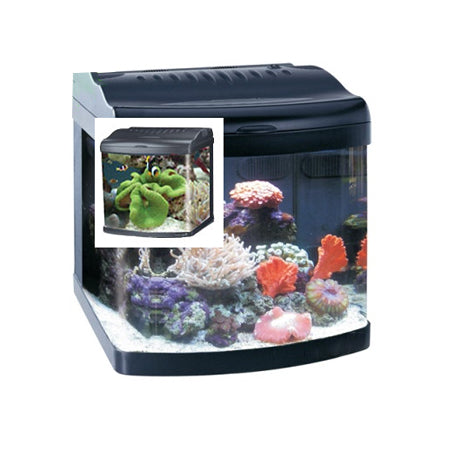 24G NANO CUBE - AQUARIUM + LED (2)