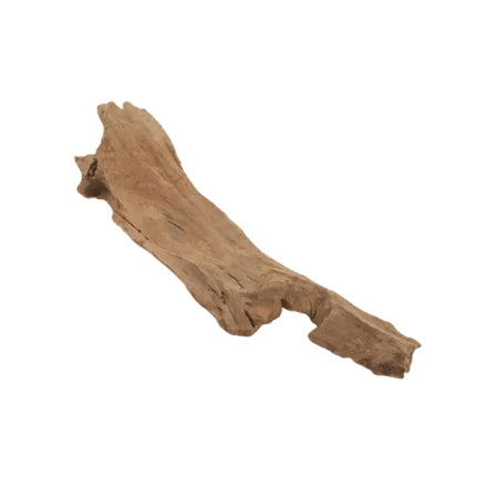 MALAYSIAN DRIFTWOOD - MEDIUM (10.2"-12.6") - MIN CASE QTY - 25