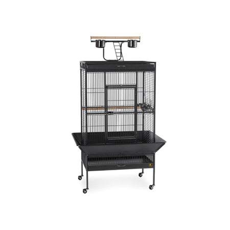 Large Select Wrought Iron Play Top Bird Cage - Black