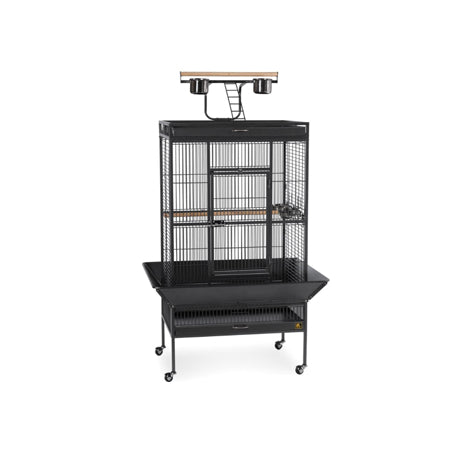 Large Select Wrought Iron Play Top Bird Cage - Pewter