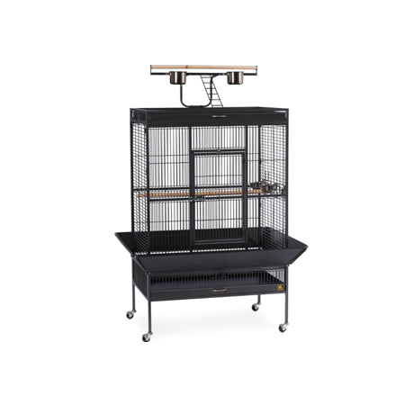 Select Wrought Iron Play Top Parrot Cage - Coco Brown