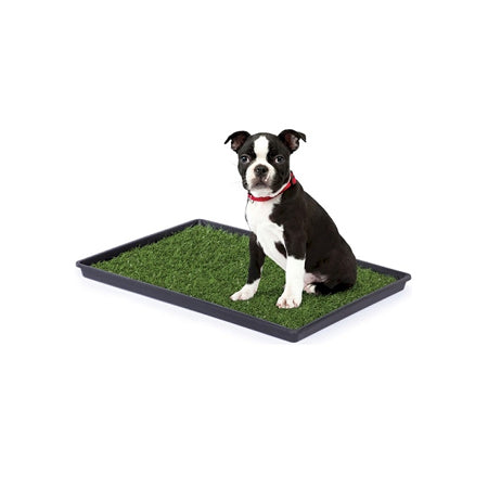 Tinkle Turf - Medium