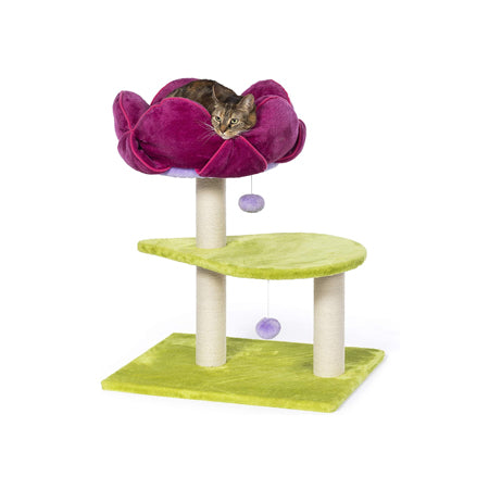 Prevue Pet Products Flower Power