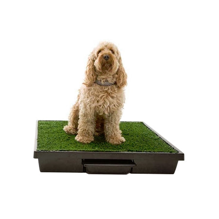 PetSafe Pet Loo Dog Potty Training System - Medium - PWM00-14498