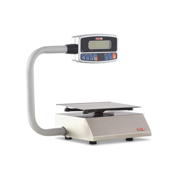 10 lb Stainless Steel Pizza / Portion Scale