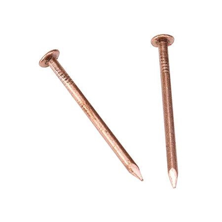 20 Pack 1.5 Inch Copper Nails Solid Copper Nail Spikes for Slating