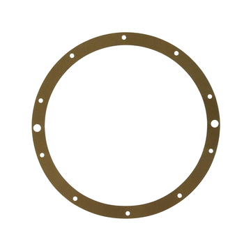 Hayward SPX0506D Niche Gasket for Underwater Lights, Vinyl