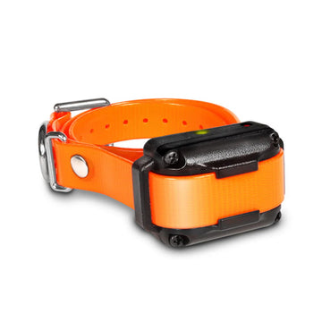 Dogtra iQ Plus Additional Receiver Expandable E-Collar - Orange