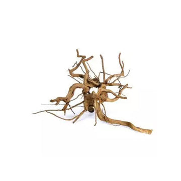 SPIDER WOOD - LARGE (19.75